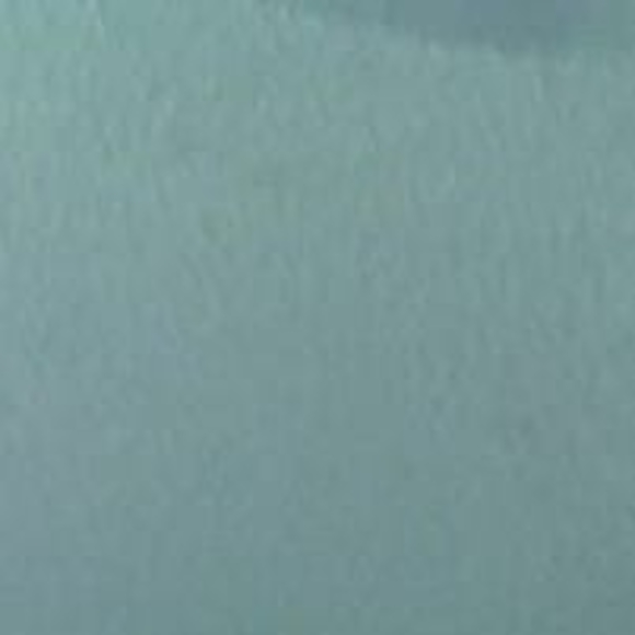 Meet your Posher, Blair - Picture 1 of 1